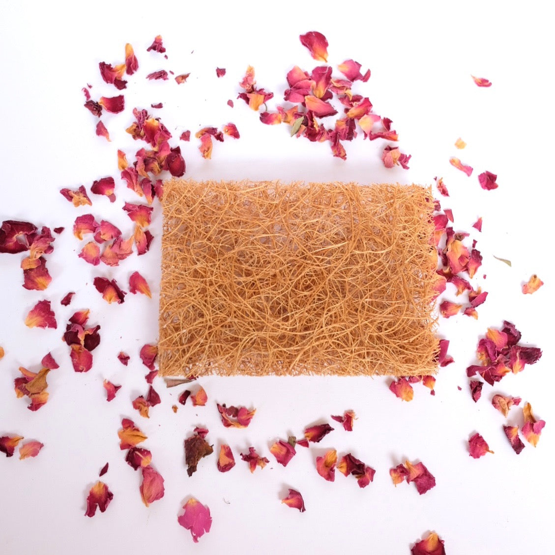 coconut soap rest